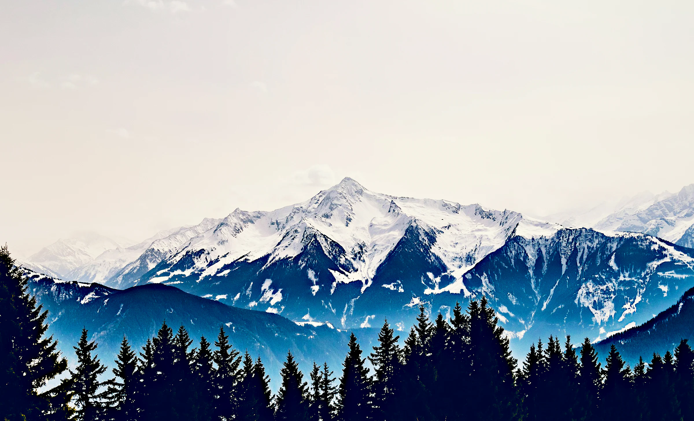 Snow-covered peaks above a dark line of pine trees.